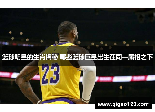 篮球明星的生肖揭秘 哪些篮球巨星出生在同一属相之下